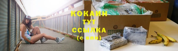дживик Куйбышев