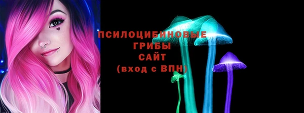 Альфа ПВП Кулебаки
