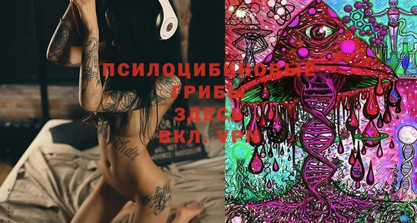 Альфа ПВП Кулебаки
