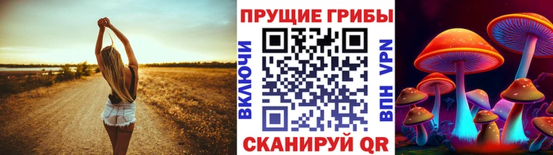 Галлюциногенные грибы Cubensis Купить где Гудермес